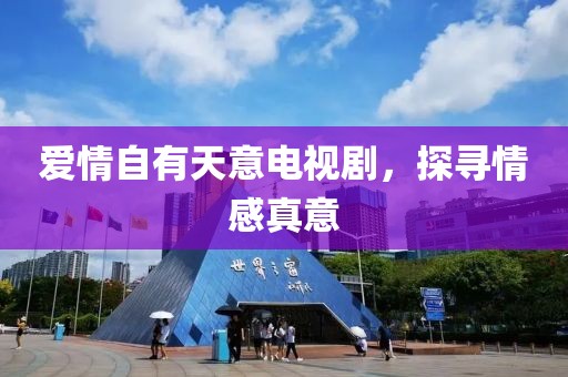 爱情自有天意电视剧，探寻情感真意