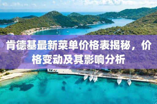 肯德基最新菜单价格表揭秘，价格变动及其影响分析