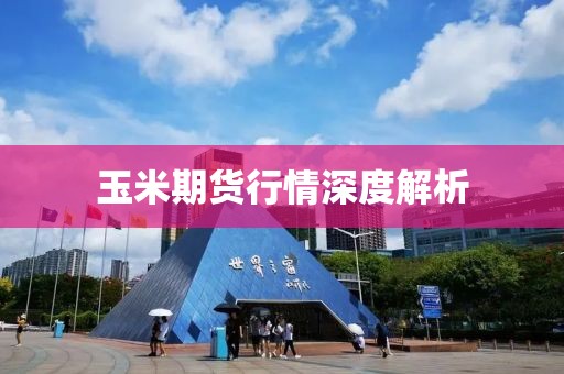 玉米期货行情深度解析