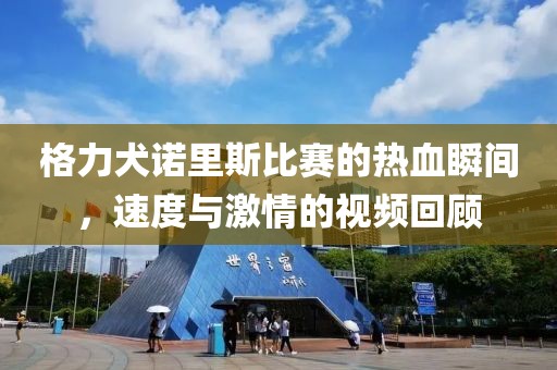 格力犬诺里斯比赛的热血瞬间，速度与激情的视频回顾
