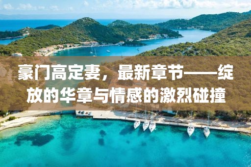 豪门高定妻，最新章节——绽放的华章与情感的激烈碰撞