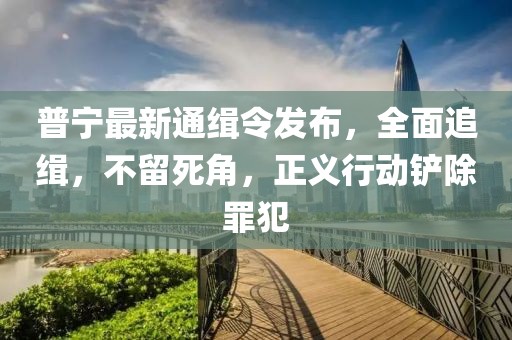 普宁最新通缉令发布，全面追缉，不留死角，正义行动铲除罪犯
