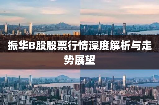 振华B股股票行情深度解析与走势展望