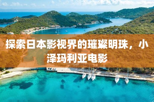 探索日本影视界的璀璨明珠，小泽玛利亚电影