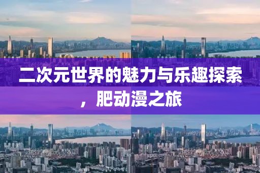 二次元世界的魅力与乐趣探索，肥动漫之旅