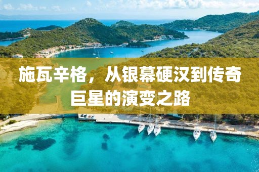 施瓦辛格，从银幕硬汉到传奇巨星的演变之路