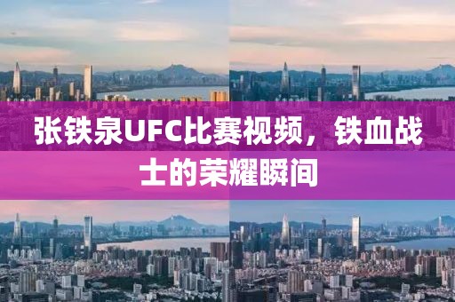 张铁泉UFC比赛视频，铁血战士的荣耀瞬间
