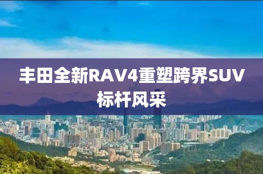 奴庸 第5页