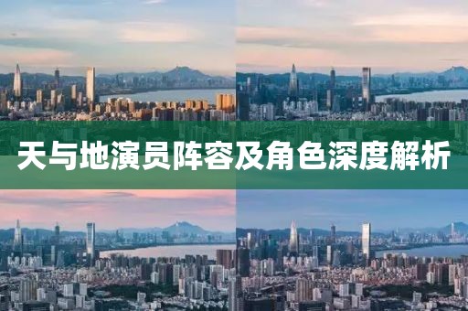 天与地演员阵容及角色深度解析