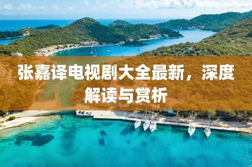 张嘉译电视剧大全最新，深度解读与赏析