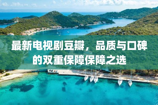 最新电视剧豆瓣，品质与口碑的双重保障保障之选