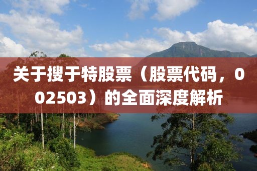 关于搜于特股票（股票代码，002503）的全面深度解析