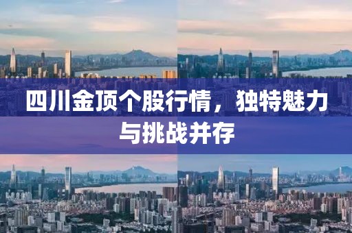 四川金顶个股行情，独特魅力与挑战并存