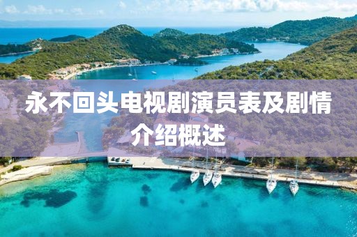 永不回头电视剧演员表及剧情介绍概述