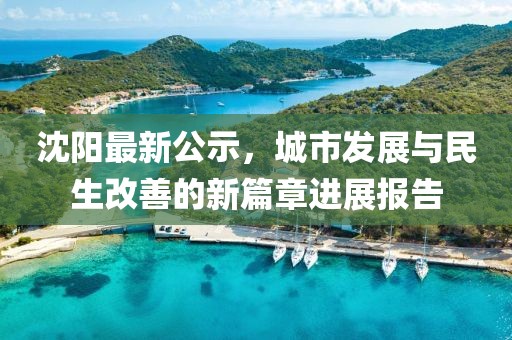 沈阳最新公示，城市发展与民生改善的新篇章进展报告