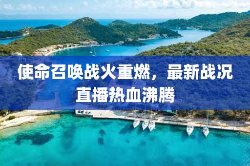 使命召唤战火重燃，最新战况直播热血沸腾