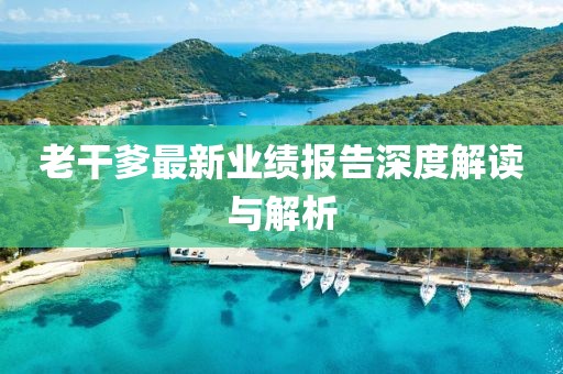 老干爹最新业绩报告深度解读与解析