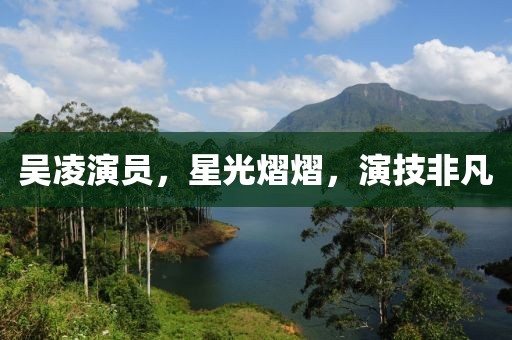 吴凌演员，星光熠熠，演技非凡