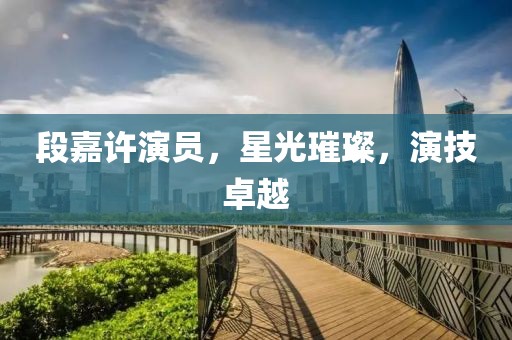 段嘉许演员，星光璀璨，演技卓越