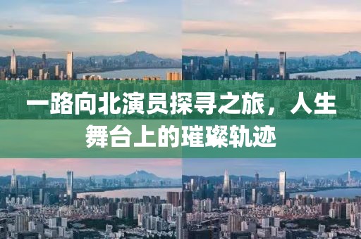 一路向北演员探寻之旅，人生舞台上的璀璨轨迹