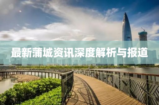 最新蒲城资讯深度解析与报道