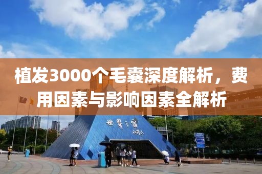 植发3000个毛囊深度解析，费用因素与影响因素全解析