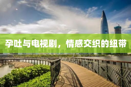 孕吐与电视剧，情感交织的纽带