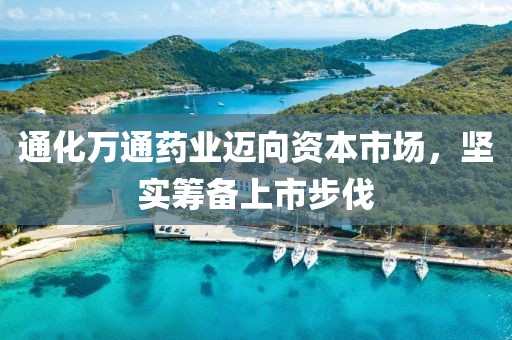 通化万通药业迈向资本市场，坚实筹备上市步伐