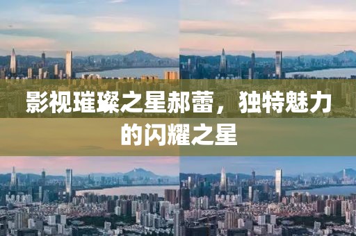 影视璀璨之星郝蕾，独特魅力的闪耀之星