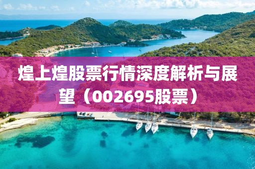 煌上煌股票行情深度解析与展望（002695股票）