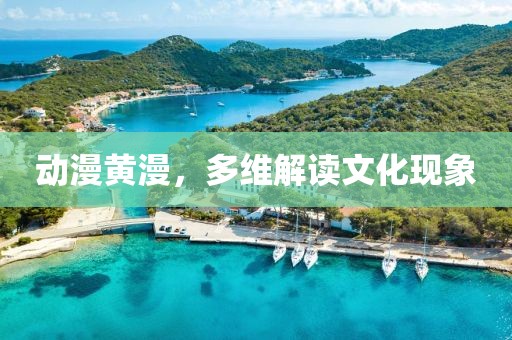 动漫黄漫，多维解读文化现象