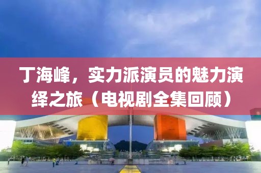 丁海峰，实力派演员的魅力演绎之旅（电视剧全集回顾）