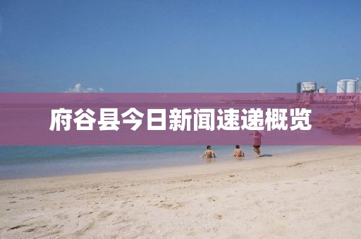 府谷县今日新闻速递概览