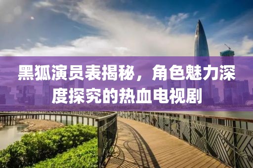 黑狐演员表揭秘，角色魅力深度探究的热血电视剧