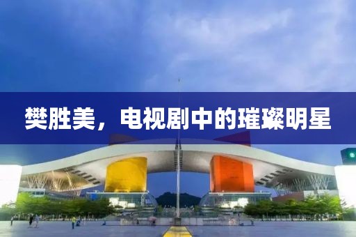 樊胜美，电视剧中的璀璨明星