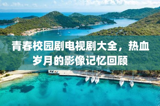 青春校园剧电视剧大全，热血岁月的影像记忆回顾