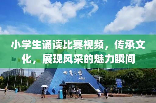 小学生诵读比赛视频，传承文化，展现风采的魅力瞬间