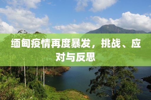 缅甸疫情再度暴发，挑战、应对与反思