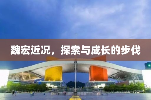 魏宏近况，探索与成长的步伐