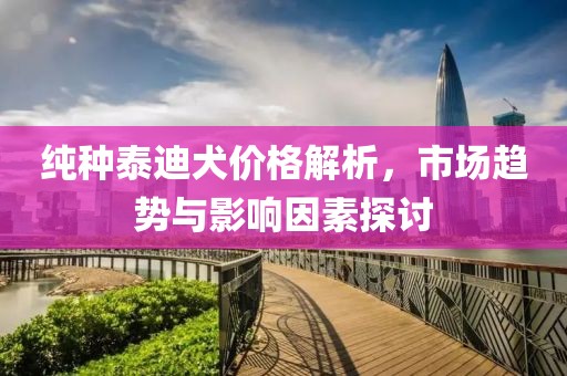 纯种泰迪犬价格解析，市场趋势与影响因素探讨