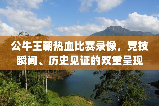 公牛王朝热血比赛录像，竞技瞬间、历史见证的双重呈现