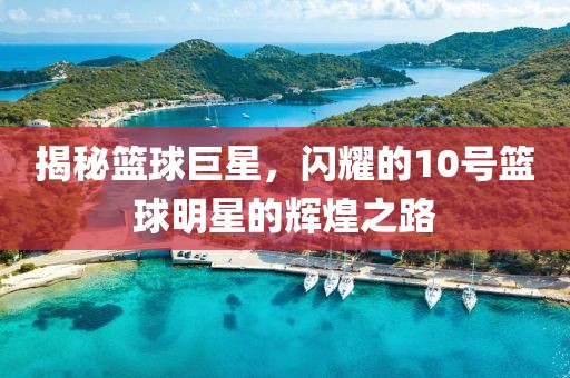 揭秘篮球巨星，闪耀的10号篮球明星的辉煌之路