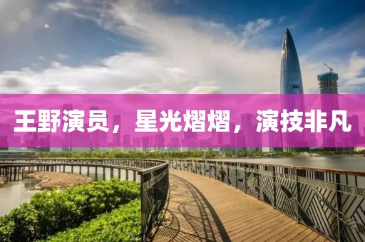 王野演员，星光熠熠，演技非凡