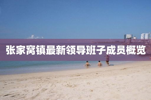 张家窝镇最新领导班子成员概览