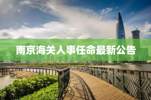 南京海关人事任命最新公告