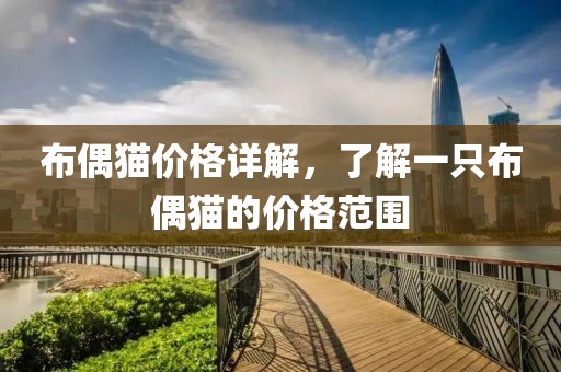 布偶猫价格详解，了解一只布偶猫的价格范围