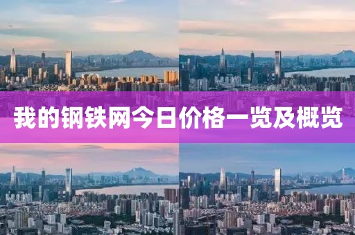 我的钢铁网今日价格一览及概览