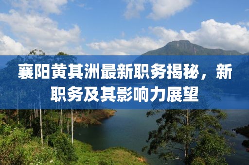 襄阳黄其洲最新职务揭秘，新职务及其影响力展望