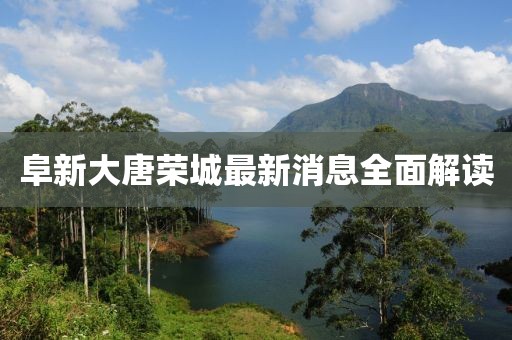 阜新大唐荣城最新消息全面解读