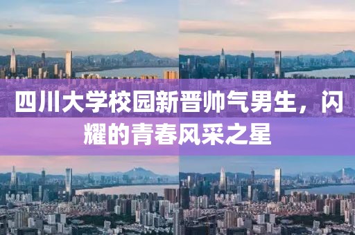 四川大学校园新晋帅气男生，闪耀的青春风采之星